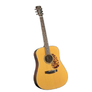Blueridge BR-140 acoustic guitar