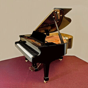 HAILUN 4’11” BABY GRAND piano