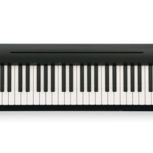 ROLAND FP-10 DIGITAL PIANO (keyboard only)