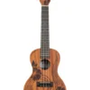 Kala KA-UNITY-C concert ukulele - Image 2
